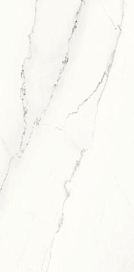 Керамогранит Ariostea PL612523 Calacatta Lincoln Lucidato 60x120