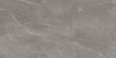 Керамогранит Art Ceramic Armani Gris Glossy 60x120