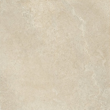 Керамогранит Cerim 784393 Casual Life Champagne Matte 120x120