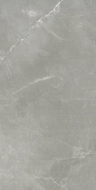 Керамогранит Cerim 744878 Timeless Amani Grey Nat Ret 60x120