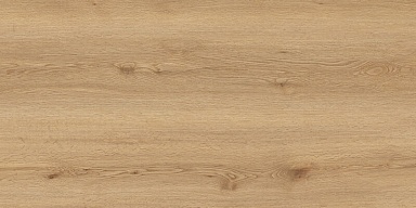 Керамогранит Global Tile GT5010026902MCR Вуди Бежевый 50x100