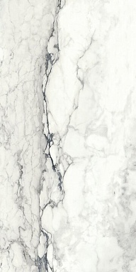 Керамогранит Imola Ceramica BRECAP6 12 RM 60x120