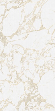 Керамогранит 41ZERO42 4100710 Pulp Gold Raw 60x120