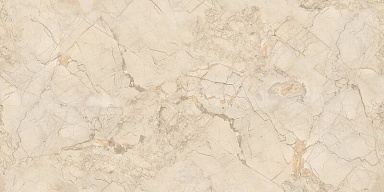 Керамогранит NT Ceramic NTT99515M Ivory Endless 60x120