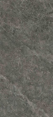 Керамогранит Moreroom Stone MN311CP261206 Florentines Ash Polished 6mm 120x260