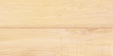 Плитка AltaCera WT9BRE11 Briole Wood 249*500*7.5