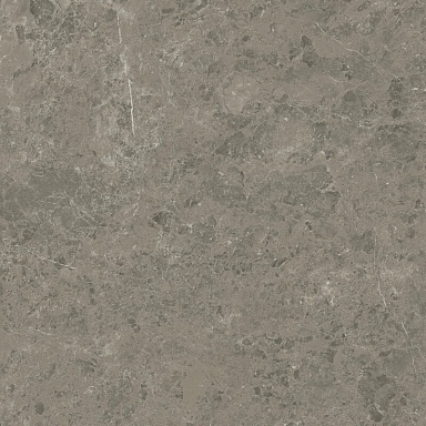 Керамогранит Atlas Concorde Italy AJIF Marvel Meraviglia Grigio Elegante Lapp. 120x120