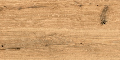 Керамогранит Cersanit C-WS4O112D Woodhouse коричневый 29,7х59,8