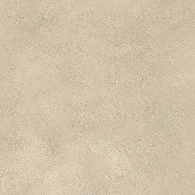 Керамогранит Atlas Concorde Italy AYVQ Boost Expression Tan Matte 60x60