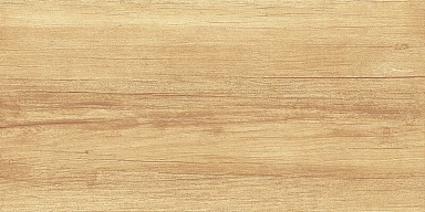 Плитка AltaCera WT9OAS31 Paradise Wood 250*500*9