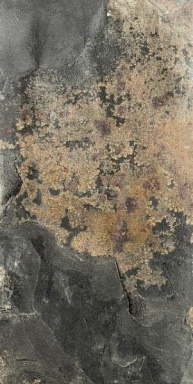 Керамогранит Dado Ceramica 004079 Roccione Beige Out 15.3x31