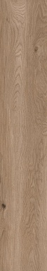 Керамогранит Artcer 1055 Casa Brown Mate 120x20