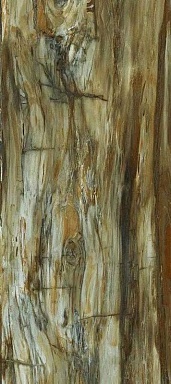 Керамогранит Art Ceramic Arty Brown High gloss 60*120
