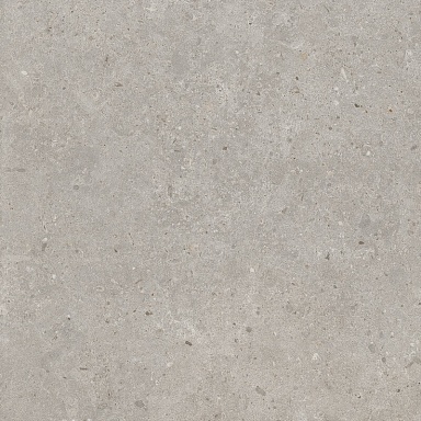 Керамогранит Kerama Marazzi SG653720R Риккарди серый светлый матовый обрезной 60x60