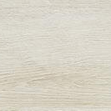 Oak Enping Jingyen