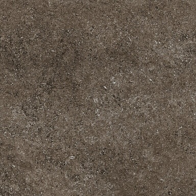 Керамогранит Casa Dolce Casa 768380 Sensi Brown Fossil R+PTV Ret 80x80