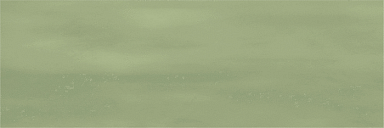 Керамогранит Ennface ENCLR6043MT722 Camelot Olive Matt 75х225х8