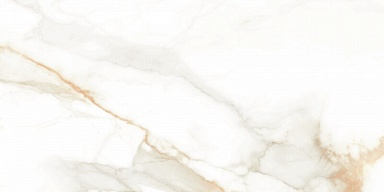 Керамогранит STN Ceramica Camile gold Pul rect. 60x120
