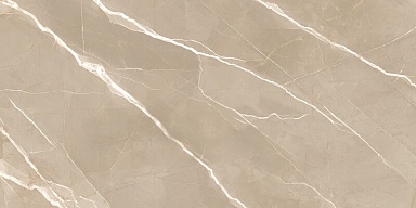Керамогранит New Trend 60120ESE21P Essential Marron полированный 600x1200x7