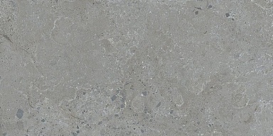 Керамогранит Dune 188999 Pietra Viva Grey 60x120