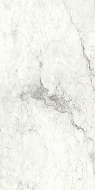 Керамогранит Imola Ceramica BRECAP6 12 RM 60x120