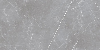 Керамогранит Ocean-Ceramic Arion Gray Dark 59.7х119.7