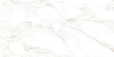 Керамогранит NT Ceramic NTT99526M Marble Extra Endless 60x120