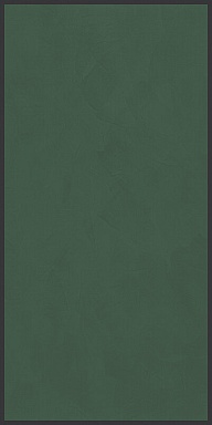 Декор Cedit 764097 Policroma Cornice Conifera Mat Ret 6mm 120x240