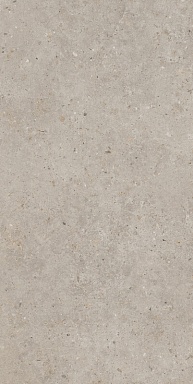 Керамогранит Kerama Marazzi SG540620R Риккарди бежевый матовый обрезной 60х119,5