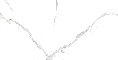 Керамогранит Casati Ceramica Statuario PGVT 60x120