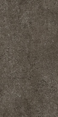 Керамогранит Casa Dolce Casa 768328 Sensi Brown Fossil R+PTV Ret 60x120