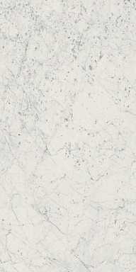 Керамогранит Italon 610010001194 Charme Extra Carrara Nat Ret 60x120