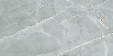 Керамогранит Royce R_PR2019 William Grey Polished 60x120