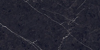 Керамогранит Eurotile 7930138702589 Pietra Negro High Glossy 60x120