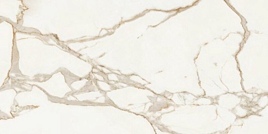 Керамогранит Ava Ceramica 163105 Calacatta Oro Lap Ret 60x120
