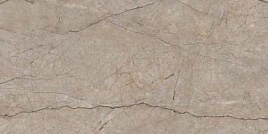 Керамогранит Cersanit 17124 Silver Roots серый матовый ректификат 60x120