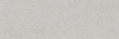 Плитка Ibero R0002309 Botanical Savia Rect. 30x90