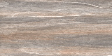 Плитка AltaCera WT9ESR21 Esprit Wood 250*500*9