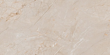 Керамогранит A-Ceramica Eco MR-12059 Matt 60x120