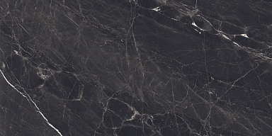 Керамогранит Colortile Evolic Nero Glossy 60x120