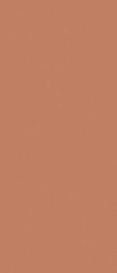Керамогранит Janye Slab JS6021P Arcilla Red Matt 120x280