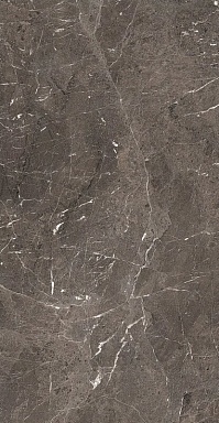 Керамогранит Rex Ceramiche 774851 Heritage Brown Glossy 6mm 60x120