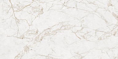Керамогранит NT Ceramic NTT99519M Impero Grey Carving 60x120