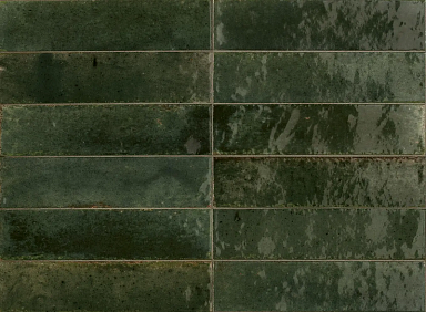 Керамогранит Ragno Marazzi R8FS Look Oliva Glossy 24x6