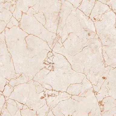 Rosalia Colortile