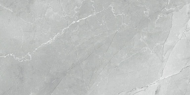 Керамогранит LCM 60120AMB15P Armani Marble Gray 60x120