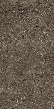 Керамогранит Casa Dolce Casa 768354 Sensi Brown Fossil R+PTV Ret 40x80
