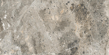 Керамогранит Alpas Euro Alaska Grey Pol. 60x120