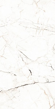 Керамогранит Maimoon Ceramica 12055R Carving 60x120