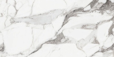 Керамогранит Rex Ceramiche 769855 Les Origines De Rex Argent Matte Rett 60x120